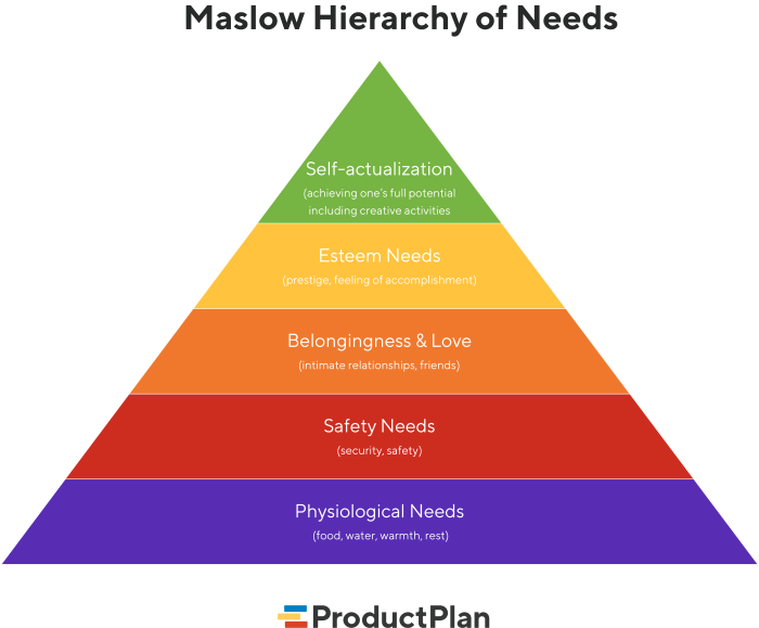 Maslow hierarchy jongeren basisbehoefte onderzoek pyramide hiervan cisco zou noemt internetgebruik primaire denken harold steeds sparks