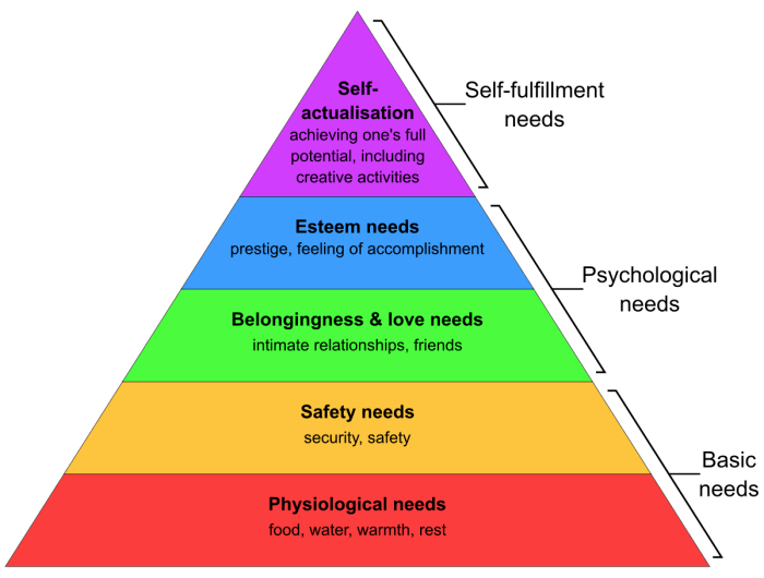 Maslow's hierarchy of needs activity