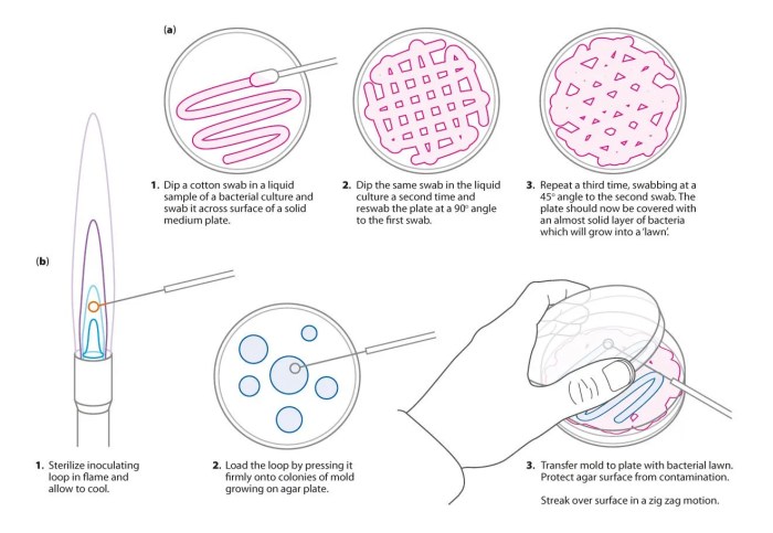 Microbiology for non science majors