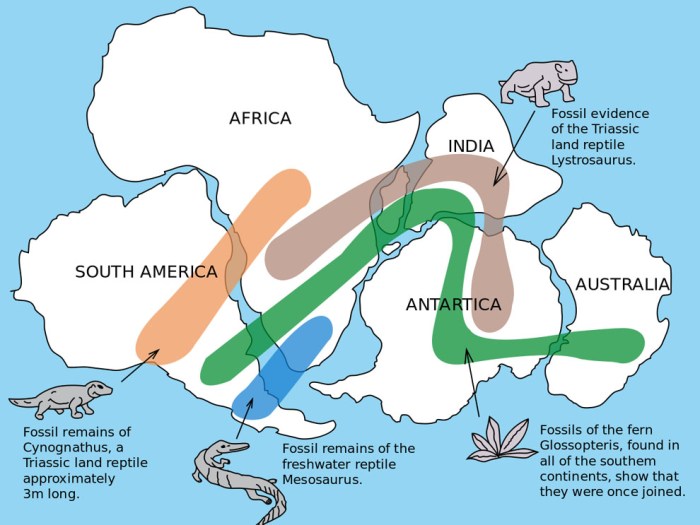 Continental drift activity packet answer key