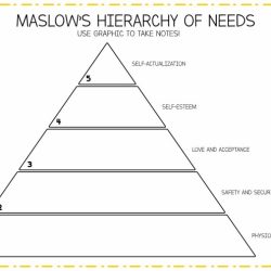 Maslow hierarchy