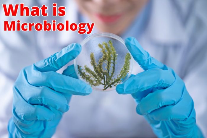 Microbiology for non science majors