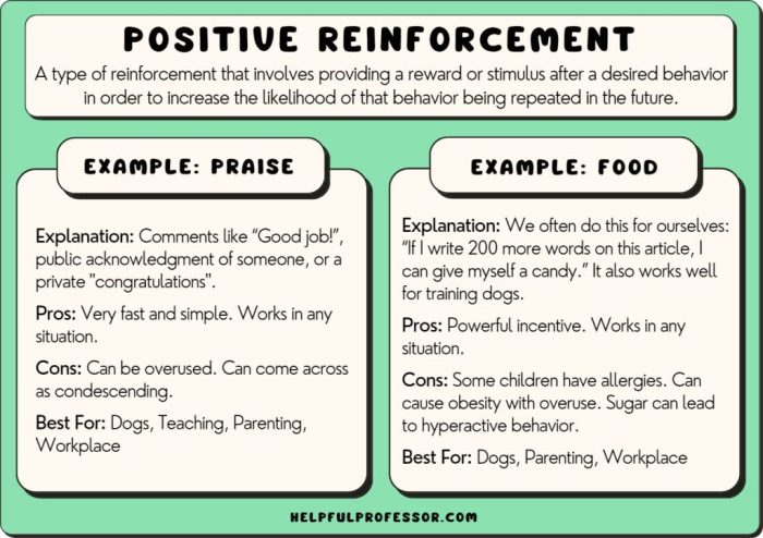 Reinforcement activity 1 part a answer key