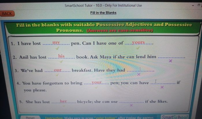 Fill in the blanks with the correct possessive adjectives