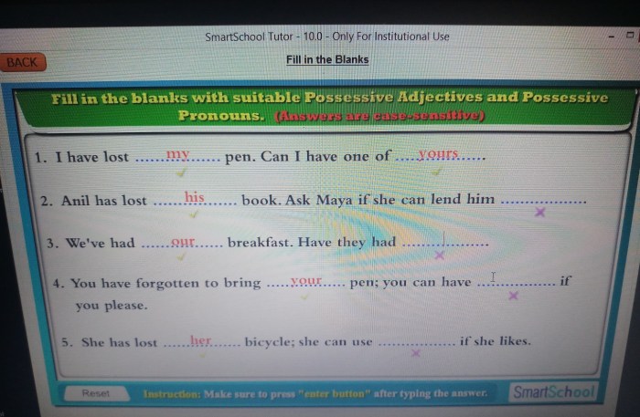 Fill in the blanks with the correct possessive adjectives