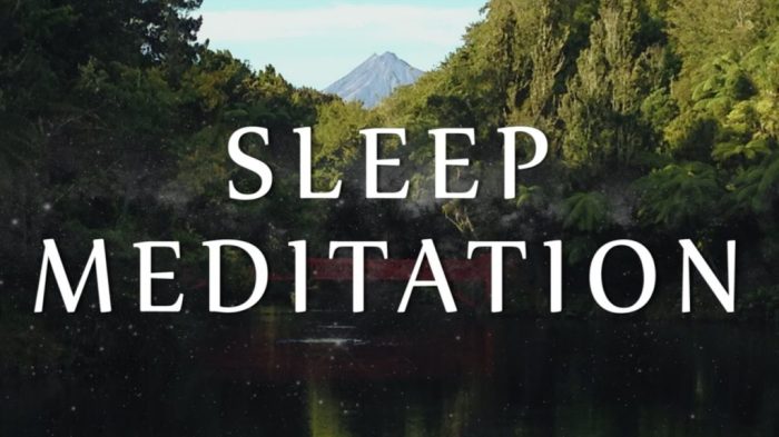 Daydreaming meditation intoxication sleep and hypnosis