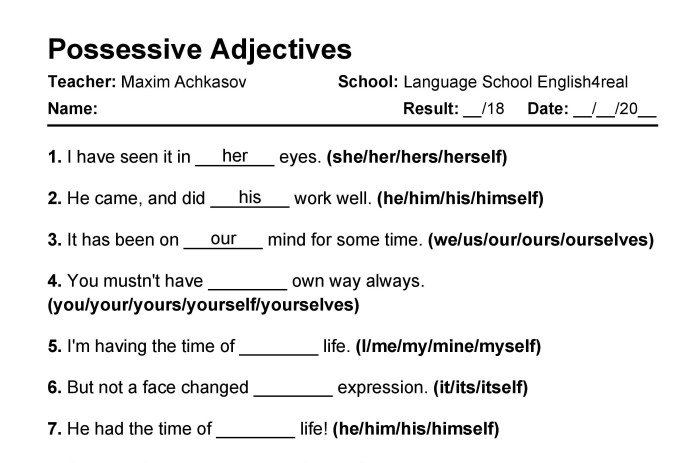 Fill in the blanks with the correct possessive adjectives